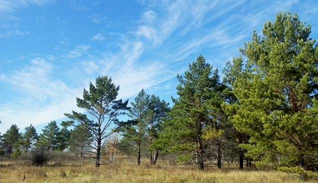 98891D54-255E-41B6-A6CB-3D38BE7B4E73