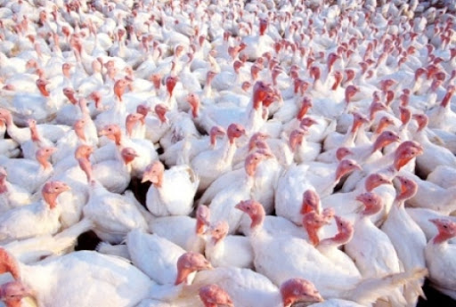 B497E48F-4056-445C-9721-98B06E2C525C