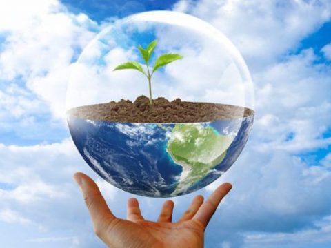 CDC9ED57-2EB6-4481-BF27-3D2ABA725203