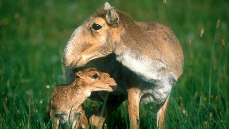 FAFEAE50-1602-4B58-B3EA-900B98A4D059