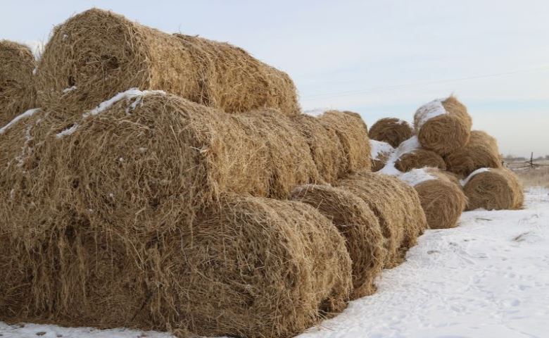 A29111F7-8ADA-47E9-BCF7-BC2192855545