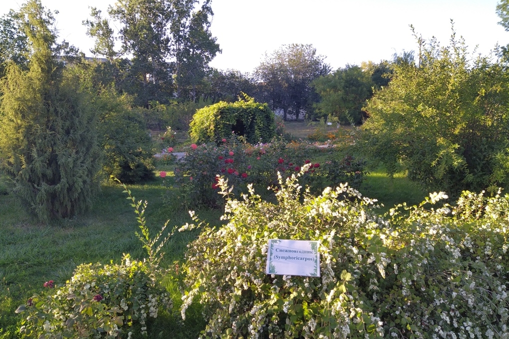 zoobaq2