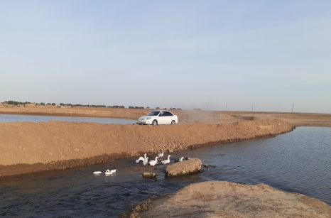 8B0E97CE-16F5-481C-B6D7-B84B6126C5F8