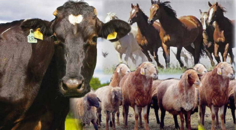 11B586A0-C0E0-4718-A12E-B580D4E54258