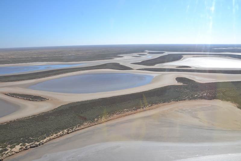 Қарабайыр адамдар арасындағы жыныстық қатынас туралы фильмдер