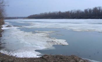 reka led