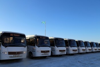 avtobus (3)