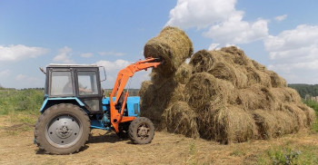 5E37050C-5A5F-4A51-98DA-A5E98BE5C577