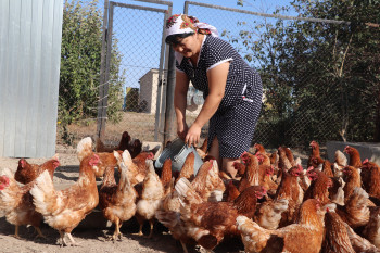 7734CCC5-D0F4-4CDC-BFCE-A6D12D96D009