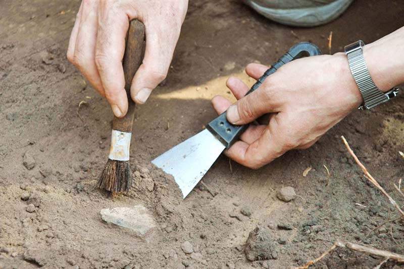Finds of Omsk's archaeologists