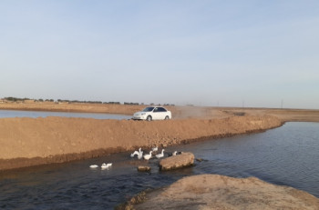 8B0E97CE-16F5-481C-B6D7-B84B6126C5F8