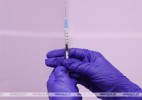 Доклинические испытания белорусской вакцины от COVID-19 проведут к лету