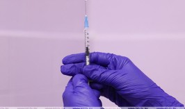 Доклинические испытания белорусской вакцины от COVID-19 проведут к лету