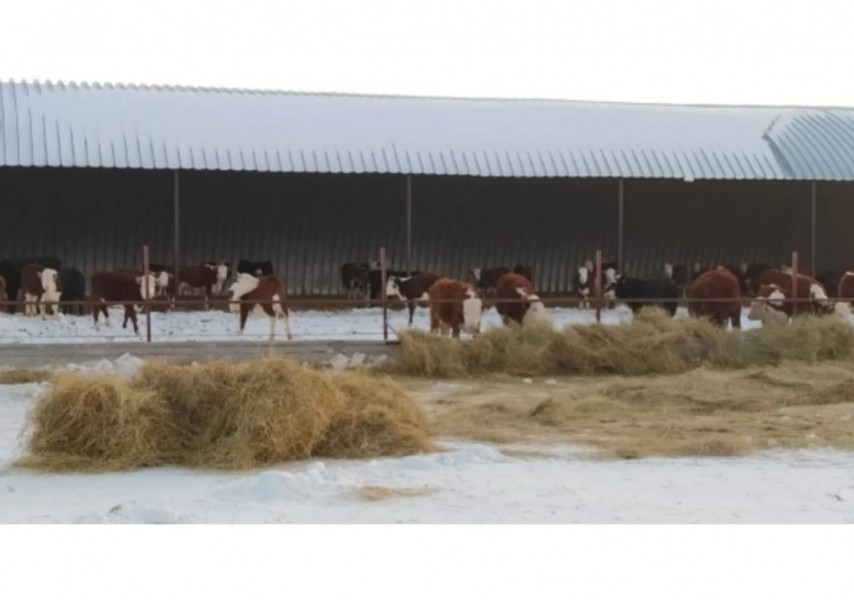 Ресейлік порно видеоның шымылдығы Жағажайдағы жеке фотосуреттер