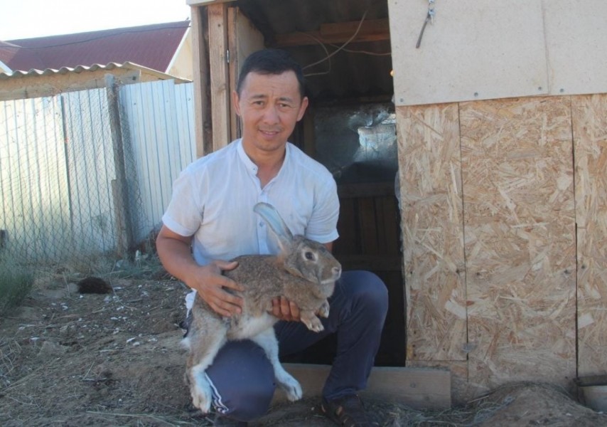 ВКонтакте желісіндегі эротикалық колготки