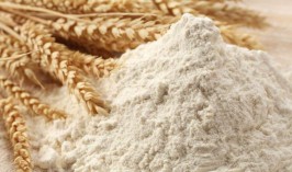 Ограничения на экспорт муки и зерна введут в Казахстане