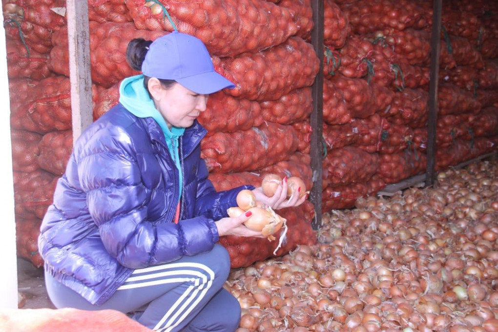 411981c3-b441-4fc3-b175-1a0c15b99f6b