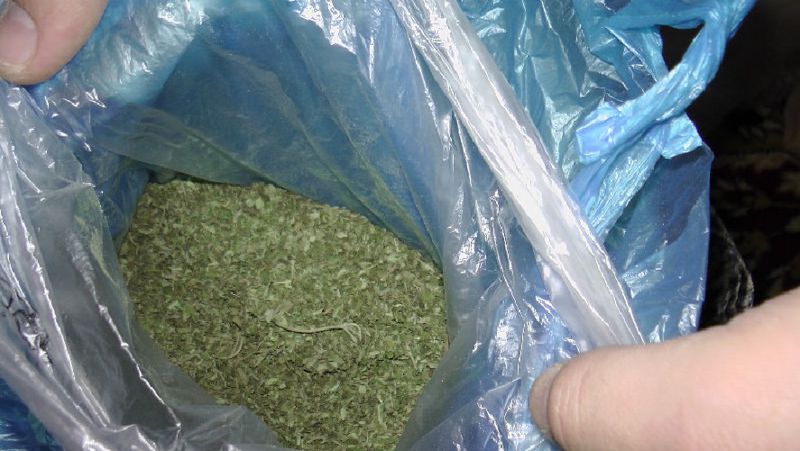 419329c9cd534a3da81adb9cf7ff93d4