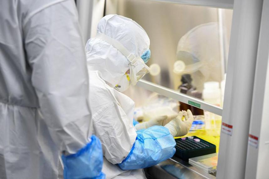 Более заразный вариант омикрон-штамма коронавируса впервые выявили в Китае
