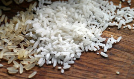 В Казахстане продолжают сокращать посевы риса