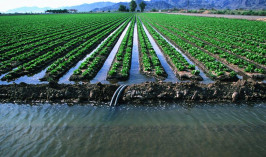 Около 65% общего водозабора приходится на сельское хозяйство в РК