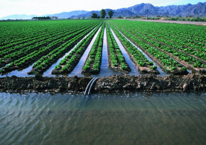 Около 65% общего водозабора приходится на сельское хозяйство в РК
