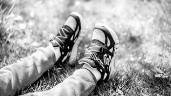 84c4cb04ff6b4a9eb2aa8e3761f91448