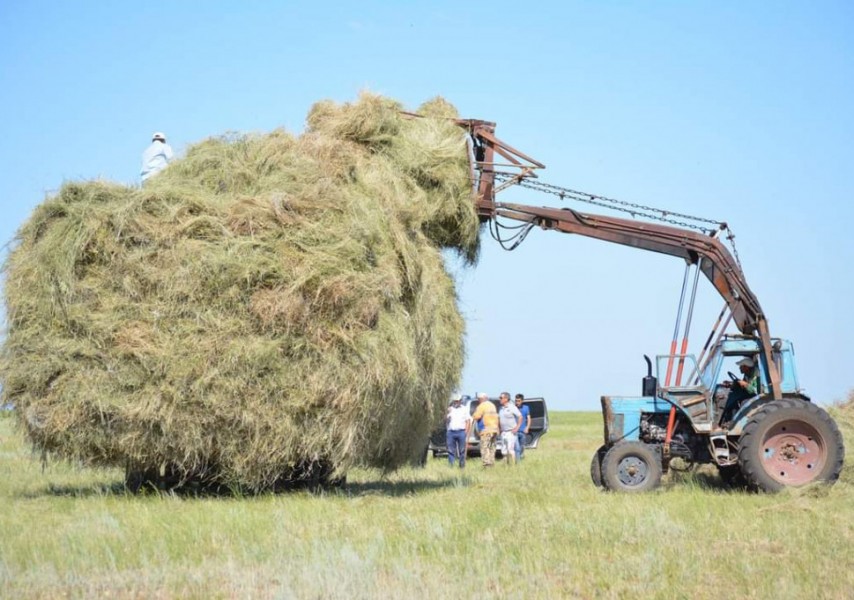 Шөп шабу ауылының порносы Шөп шабу ауылының порносы