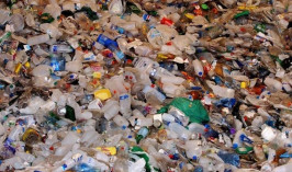 Переработка не способствует уменьшению пластиковых отходов в Великобритании