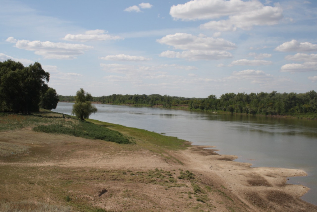 Шалон Ли порно жұлдызы