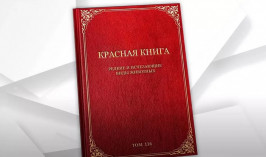 Веб-портал для Красной книги будут разрабатывать в Казахстане
