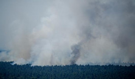 Евросоюз мобилизует 369 спасателей для борьбы с лесными пожарами