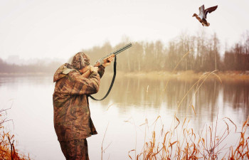 best_duck_hunting_gun_outdoor_life
