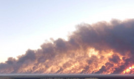 Пожар на Каспии перекинулся на природный резерват «Акжайык»