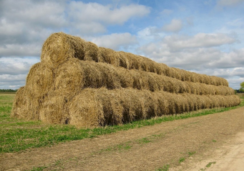 Инцест порно онлайн анасы мен ұлы