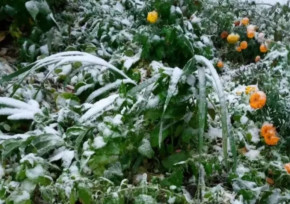 Первый снег выпал на севере Казахстана