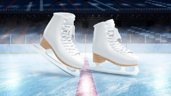 648c7108785d41cb9c2349908cf02458