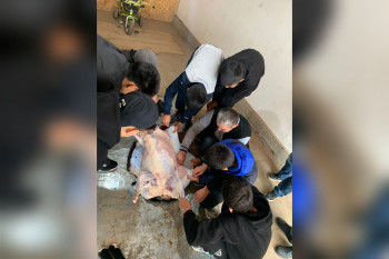 InShot_20221002_122709302