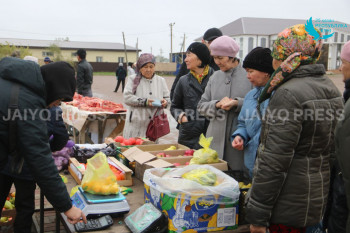 InShot_20221025_143815937