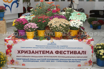 InShot_20221027_100226745