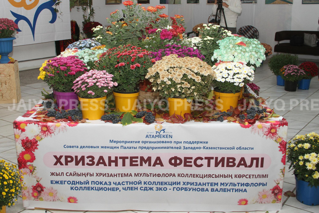 InShot_20221027_100226745