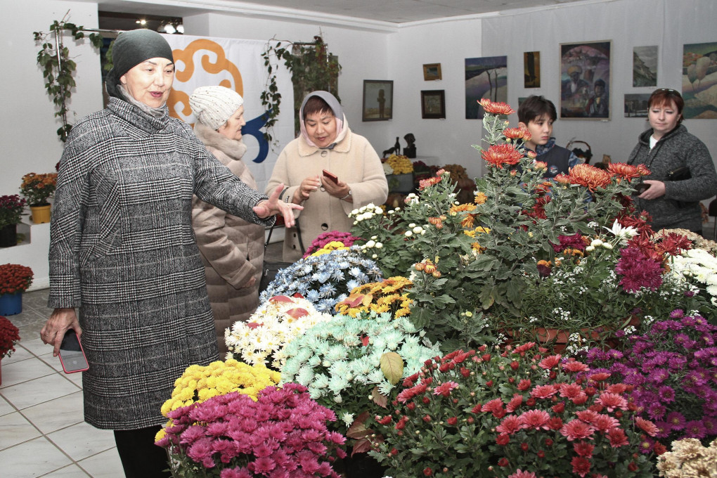 Копия Изображение 124