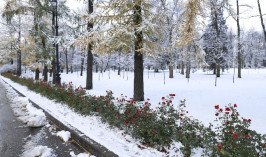 Синоптики рассказали, какой будет погода в Казахстане 22 ноября
