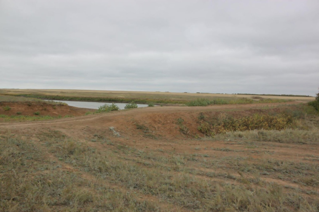 IMG-20221115-WA0053