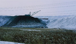 Павлодарцы стали покупать уголь в кредит
