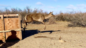 aaa3e16701352ea6acb38baa436917a2_1280x720