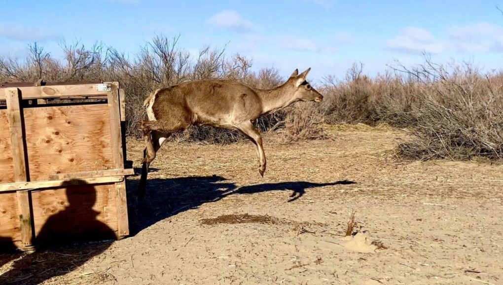 aaa3e16701352ea6acb38baa436917a2_1280x720