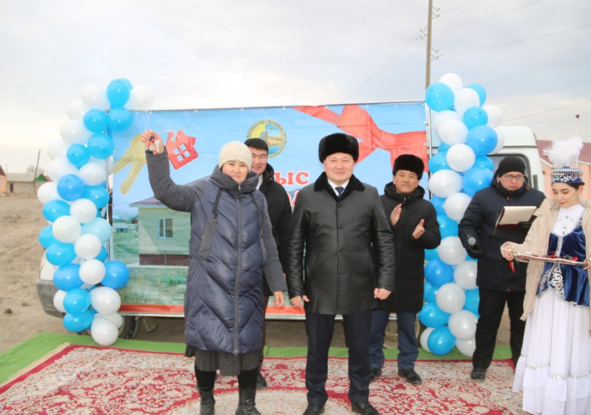 Шәуетпен жабылған үлкен писькилердің фотосуреттері