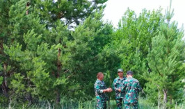 Остаться без специалистов в сфере лесного хозяйства может Казахстан