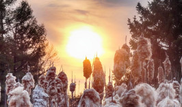 Синоптики рассказали, где в Казахстане 28 декабря ожидается погода без осадков